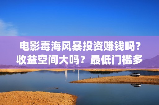 电影毒海风暴投资赚钱吗？收益空间大吗？最低门槛多少？(毒海风暴真实情况)