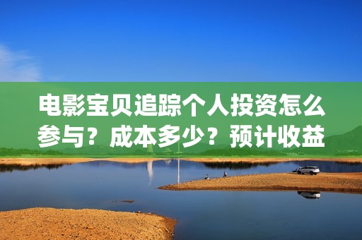 电影宝贝追踪个人投资怎么参与？成本多少？预计收益(宝贝追踪剧情介绍)