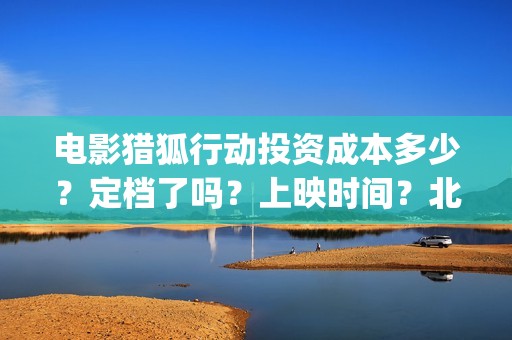 电影猎狐行动投资成本多少？定档了吗？上映时间？北京(猎狐行动电影简介)