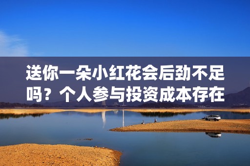 送你一朵小红花会后劲不足吗？个人参与投资成本存在溢价吗？(送你一朵小红花 歌曲)