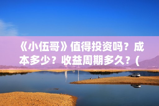 《小伍哥》值得投资吗？成本多少？收益周期多久？(小伍哥上映)