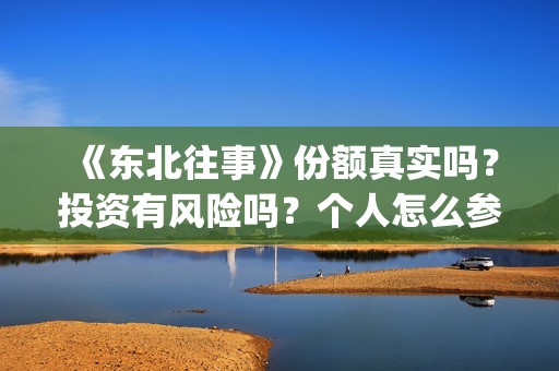 《东北往事》份额真实吗？投资有风险吗？个人怎么参与投资？(东北往事原文)