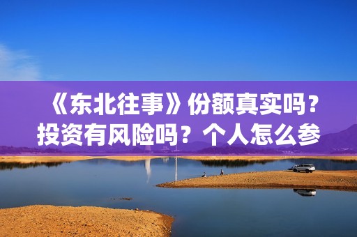 《东北往事》份额真实吗？投资有风险吗？个人怎么参与投资？(东北往事片段)
