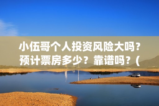 小伍哥个人投资风险大吗？预计票房多少？靠谱吗？(小伍哥出品方)