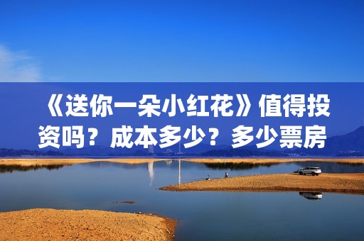 《送你一朵小红花》值得投资吗？成本多少？多少票房回本？(送你一朵小红花mp3下载)