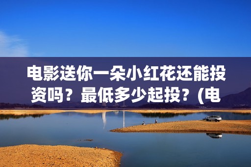 电影送你一朵小红花还能投资吗？最低多少起投？(电影送你一朵小红花讲述的主题是抗癌吗)