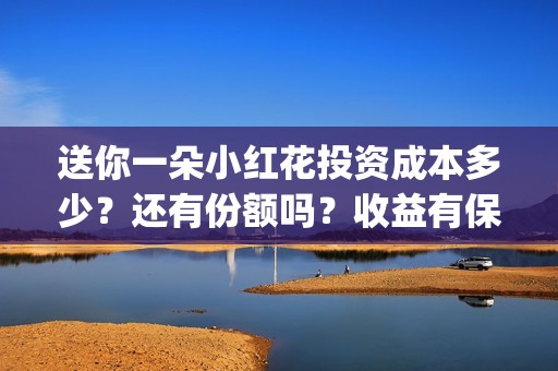 送你一朵小红花投资成本多少？还有份额吗？收益有保障吗？(送你一朵小红花歌词表达什么意思)
