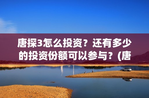 唐探3怎么投资？还有多少的投资份额可以参与？(唐探3如何)