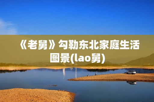 《老舅》勾勒东北家庭生活图景(lao舅)