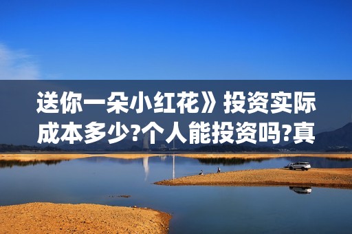 送你一朵小红花》投资实际成本多少?个人能投资吗?真实吗(送你一朵小红花电影免费观看) 送你一朵小红花》投资实际成本多少?个人能投资吗?真实吗(送你一朵小红花电影免费观看)