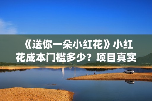  《送你一朵小红花》小红花成本门槛多少？项目真实可靠吗？(送你一朵小红花免费观看完整版)
