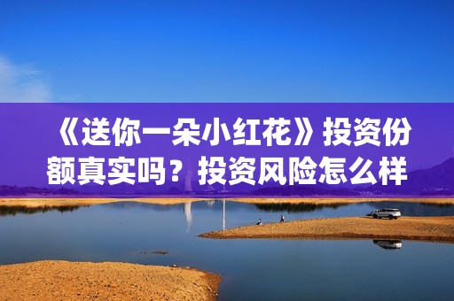 《送你一朵小红花》投资份额真实吗？投资风险怎么样？怎么(送你一朵小红花歌词表达什么意思)