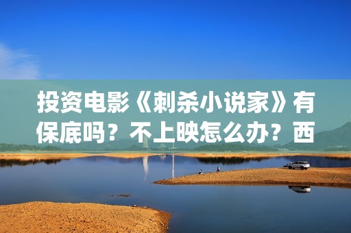 投资电影《刺杀小说家》有保底吗？不上映怎么办？西坝河(刺杀 电影)