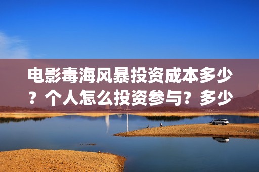 电影毒海风暴投资成本多少？个人怎么投资参与？多少起投？(毒海风暴 电影)