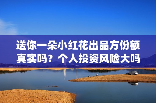 送你一朵小红花出品方份额真实吗？个人投资风险大吗？(送你一朵小红花歌词表达什么意思)