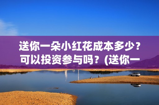 送你一朵小红花成本多少？可以投资参与吗？(送你一朵小红花电影免费观看)