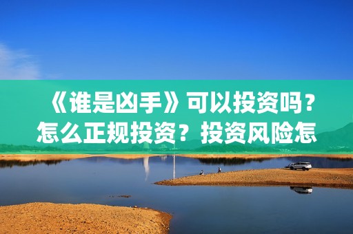 《谁是凶手》可以投资吗？怎么正规投资？投资风险怎么样？(谁是凶手内容)