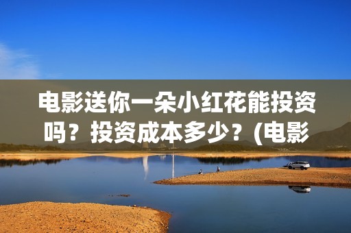 电影送你一朵小红花能投资吗？投资成本多少？(电影送你一朵小红花观后感)