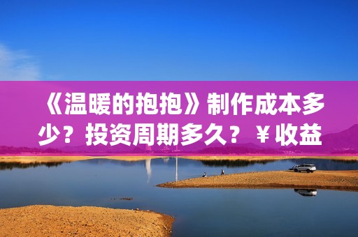 《温暖的抱抱》制作成本多少？投资周期多久？￥收益空间大吗？(温暖的抱抱在线观看完整版高清免费)