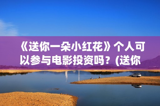 《送你一朵小红花》个人可以参与电影投资吗？(送你一朵小红花演员表)
