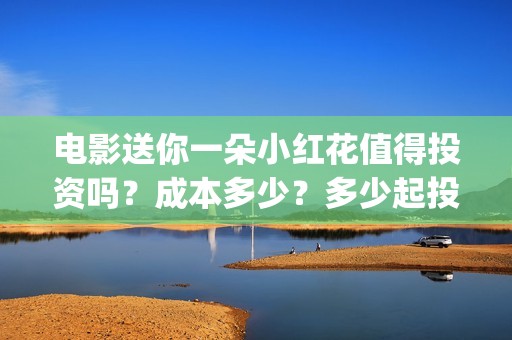 电影送你一朵小红花值得投资吗？成本多少？多少起投？ (电影送你一朵小红花讲述的主题是抗癌吗)