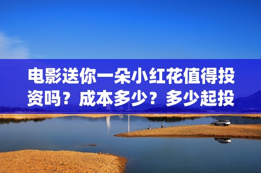 电影送你一朵小红花值得投资吗？成本多少？多少起投？ (电影送你一朵小红花主题曲)