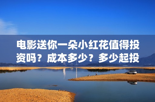 电影送你一朵小红花值得投资吗？成本多少？多少起投？(电影送你一朵小红花简介)