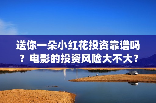 送你一朵小红花投资靠谱吗？电影的投资风险大不大？ (送你一朵小红花歌词表达什么意思)