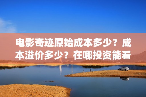 电影奇迹原始成本多少？成本溢价多少？在哪投资能看底层协议？(奇迹原则)
