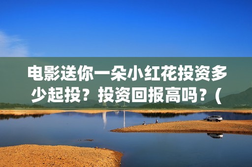 电影送你一朵小红花投资多少起投？投资回报高吗？(电影送你一朵小红花讲述的主题是抗癌吗)