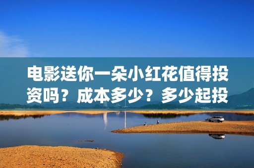 电影送你一朵小红花值得投资吗？成本多少？多少起投？(电影送你一朵小红花主题曲)