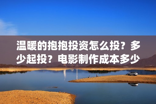 温暖的抱抱投资怎么投？多少起投？电影制作成本多少？(温暖的抱抱投资商)