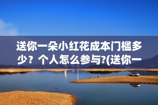 送你一朵小红花成本门槛多少？个人怎么参与?(送你一朵小红花电影免费观看)