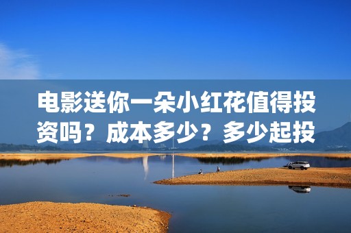 电影送你一朵小红花值得投资吗？成本多少？多少起投？(电影送你一朵小红花的英文)