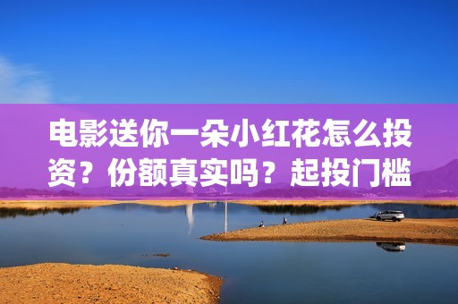 电影送你一朵小红花怎么投资？份额真实吗？起投门槛多少？(电影送你一朵小红花演员表)
