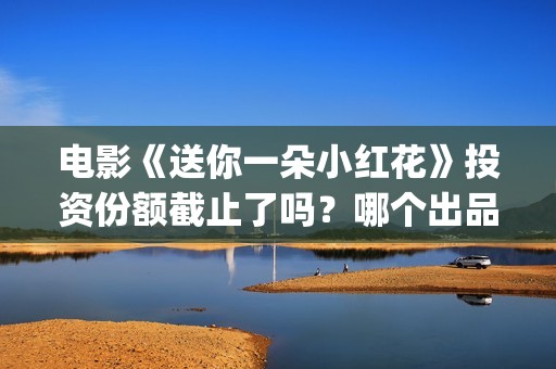 电影《送你一朵小红花》投资份额截止了吗？哪个出品方还有份额？投资门槛多少？(电影送你一朵小红花剧情介绍)