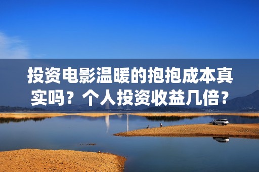 投资电影温暖的抱抱成本真实吗？个人投资收益几倍？(温暖的电影海报)