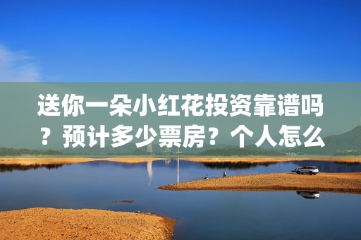 送你一朵小红花投资靠谱吗？预计多少票房？个人怎么参与？(送你一朵小红花简谱)