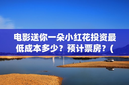 电影送你一朵小红花投资最低成本多少？预计票房？(电影送你一朵小红花主题曲)