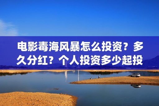 电影毒海风暴怎么投资？多久分红？个人投资多少起投？(毒海风暴有哪几家拍摄)