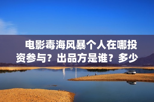    电影毒海风暴个人在哪投资参与？出品方是谁？多少起投？(电影毒海风暴 免费观看)