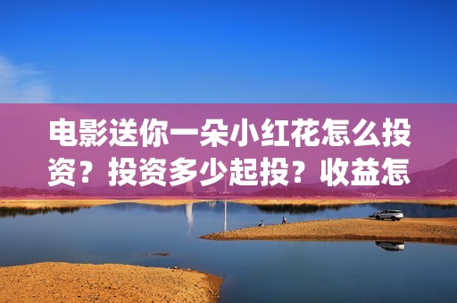 电影送你一朵小红花怎么投资？投资多少起投？收益怎么样？(电影送你一朵小红花讲述的主题是抗癌吗)