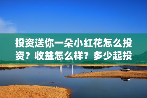 投资送你一朵小红花怎么投资？收益怎么样？多少起投？(送你一朵小红花投资商)