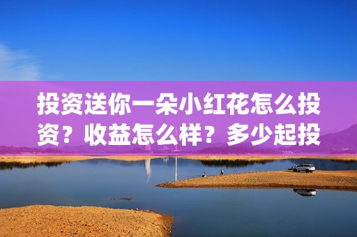 投资送你一朵小红花怎么投资？收益怎么样？多少起投？(投资送你一朵小红花)