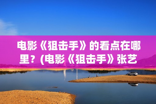 电影《狙击手》的看点在哪里？(电影《狙击手》张艺谋)