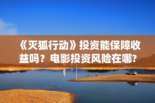 《灭狐行动》投资能保障收益吗？电影投资风险在哪?(灭狐行动出品方)