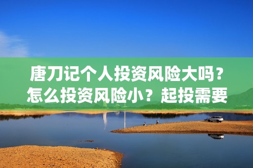 唐刀记个人投资风险大吗？怎么投资风险小？起投需要门槛吗？(唐刀纪录片视频)
