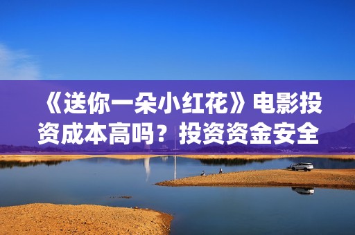 《送你一朵小红花》电影投资成本高吗？投资资金安全吗？注意什么？(送你一朵小红花歌词)