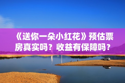 《送你一朵小红花》预估票房真实吗？收益有保障吗？资金安全吗？(送你一朵小红花原唱)