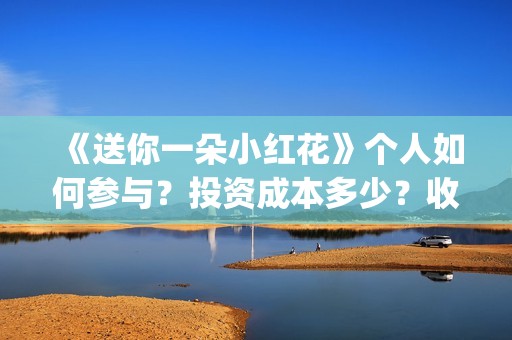 《送你一朵小红花》个人如何参与？投资成本多少？收益空间大吗？(送你一朵小红花歌词)